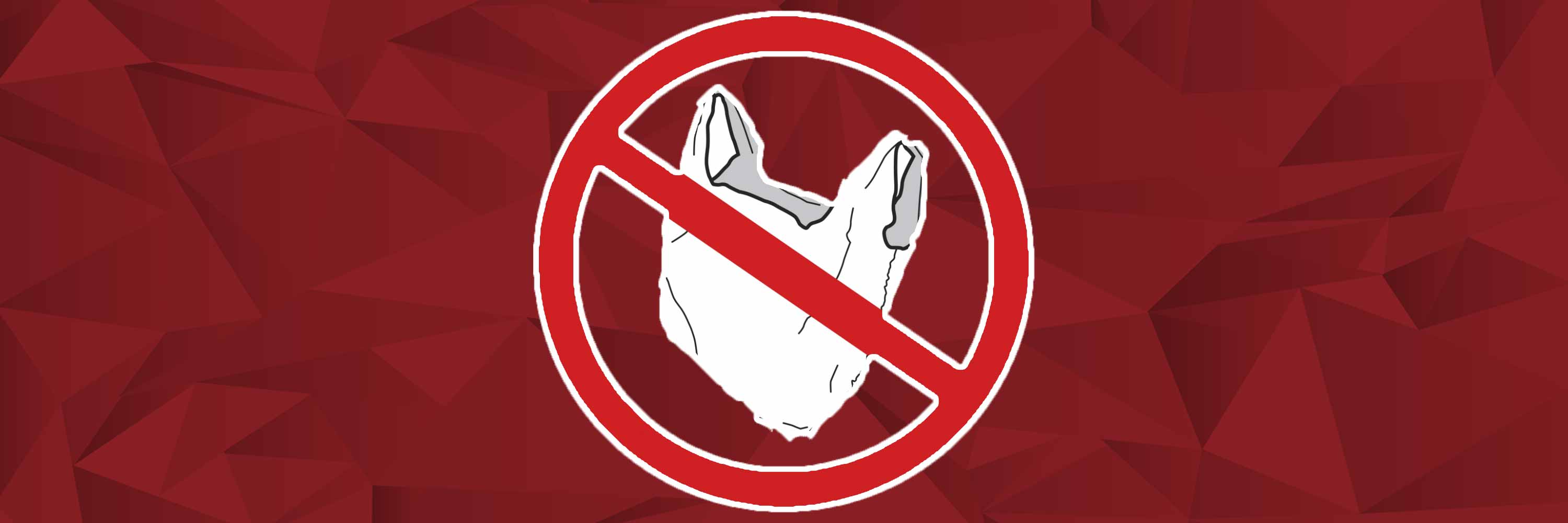 plastic-bag-ban plastic-bag-ban