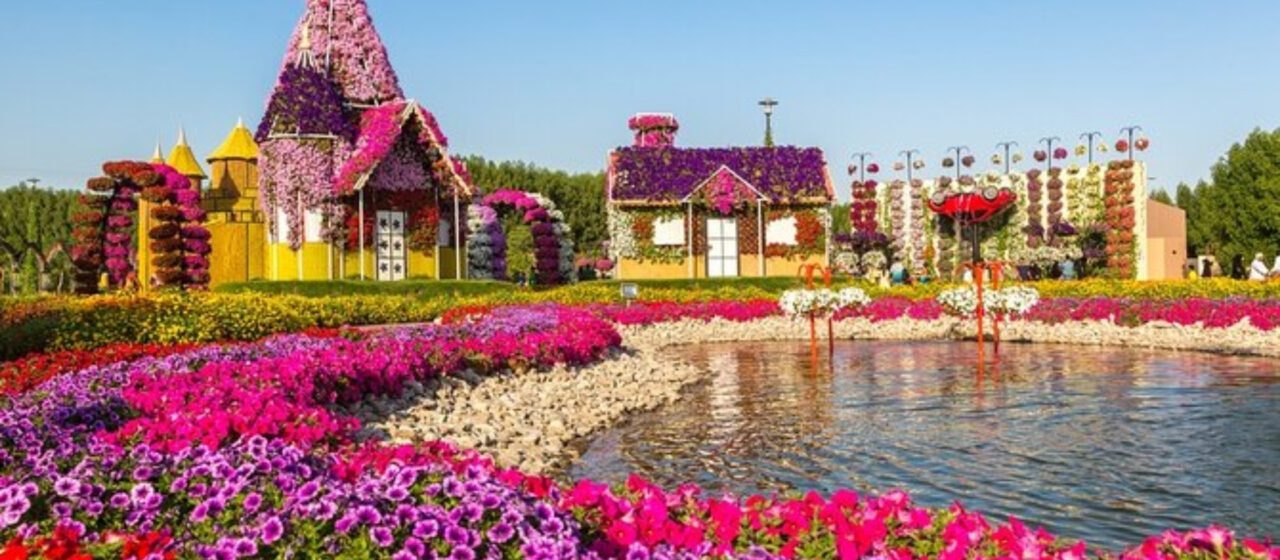 Miracle Garden returns for its 14th edition with record 150 million blossoms