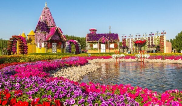 Miracle Garden returns for its 14th edition with record 150 million blossoms