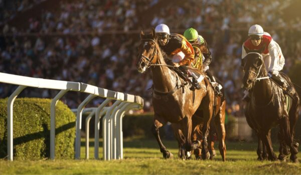 Dubai World Cup 2026 Tickets Now on Sale with Prices from Dh40