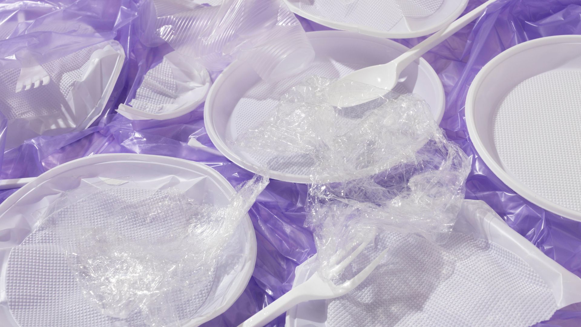 News Photo - 2025-12-12T112101.430