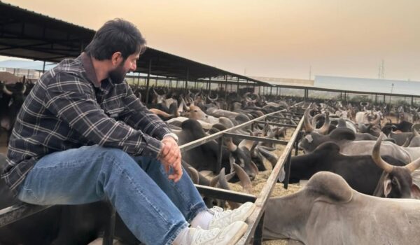 Sonu Sood’s Compassion in Action: Actor Donates ₹22L to Gujarat Cow Shelter