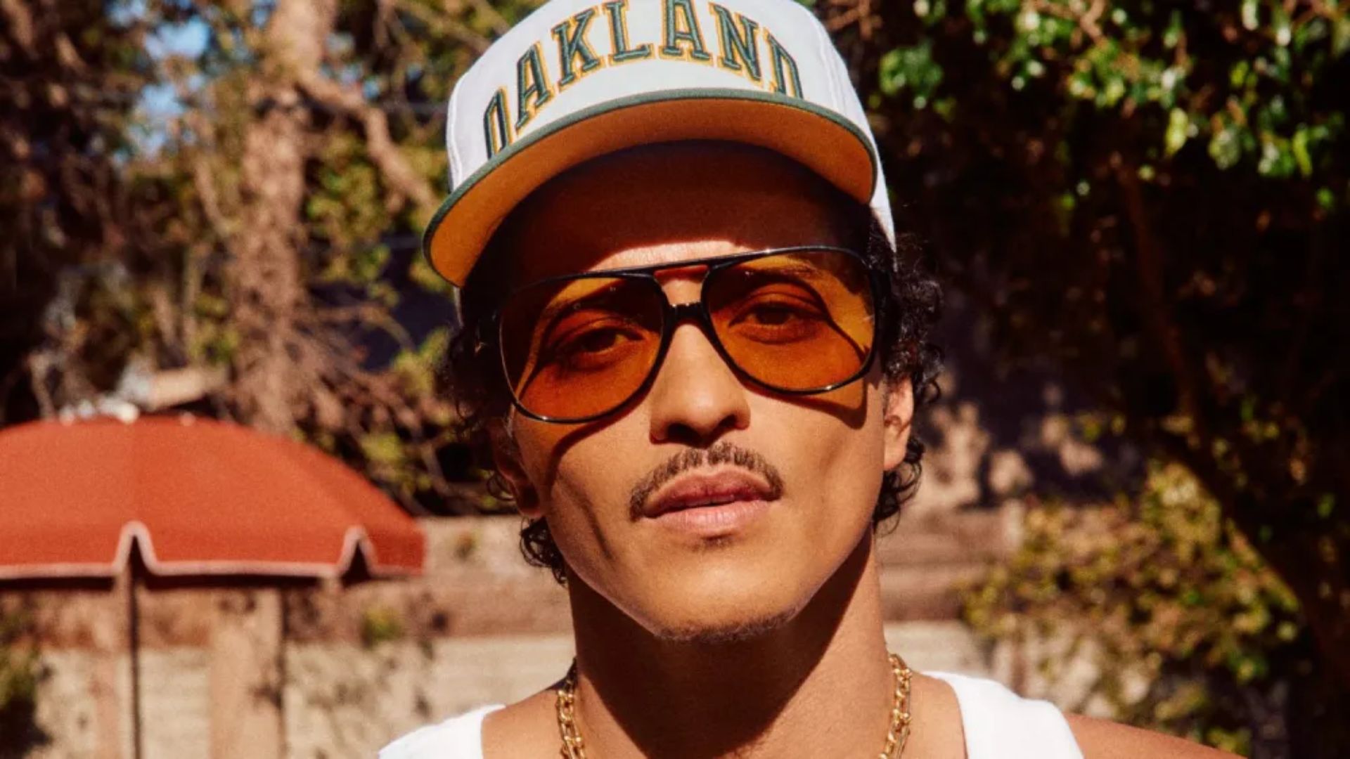 News Photo - 2026-02-13T115057.537