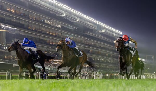 Dubai Racing Carnival Finale Builds Excitement Ahead of Dubai World Cup