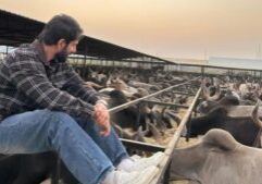 News Photo - 2026-01-12T114126.331