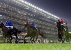 News Photo - 2026-03-13T130743.127