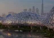 image.khaleejtimes